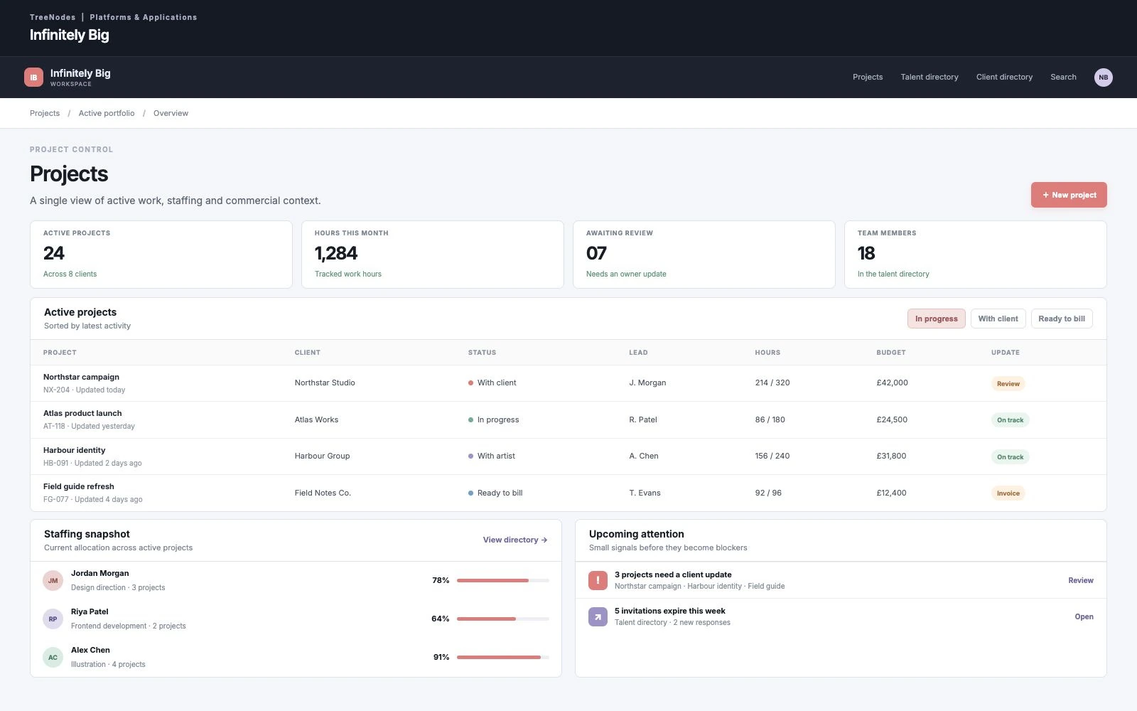 Infinitely Big project dashboard showing project totals, tracked hours, active project status, staffing allocations and upcoming actions, using fictional demonstration records.
